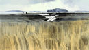 Poole Harbour from Arne